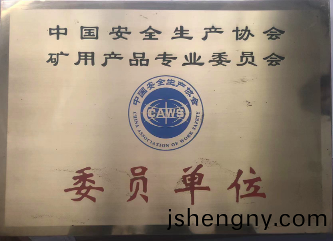 榮(rong)譽(yu)資質