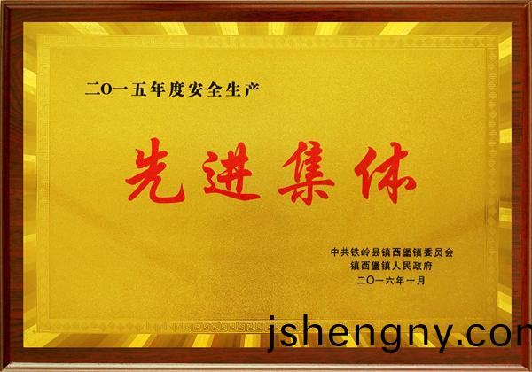 榮(rong)譽(yu)資(zi)質(zhi)